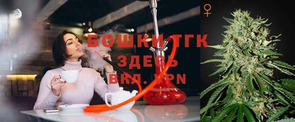 винт Алексин