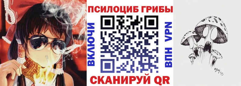 магазин  наркотиков  Алзамай  Псилоцибиновые грибы мицелий 